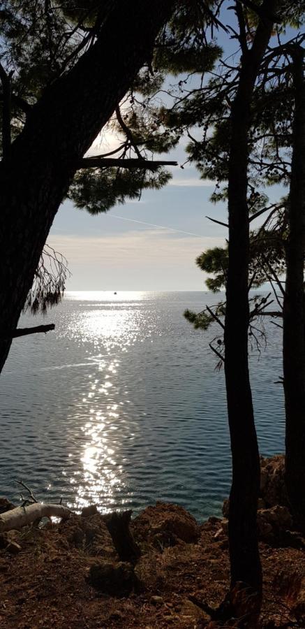 Luxury Apartment Spa "Marina" Makarska Zewnętrze zdjęcie