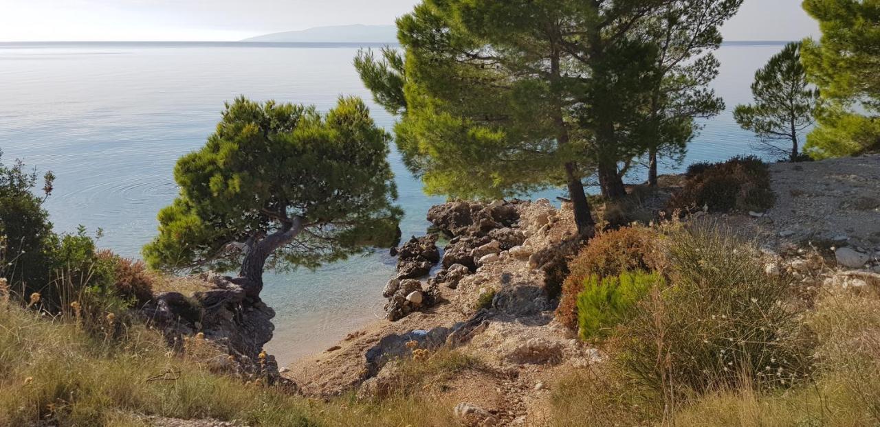 Luxury Apartment Spa "Marina" Makarska Zewnętrze zdjęcie
