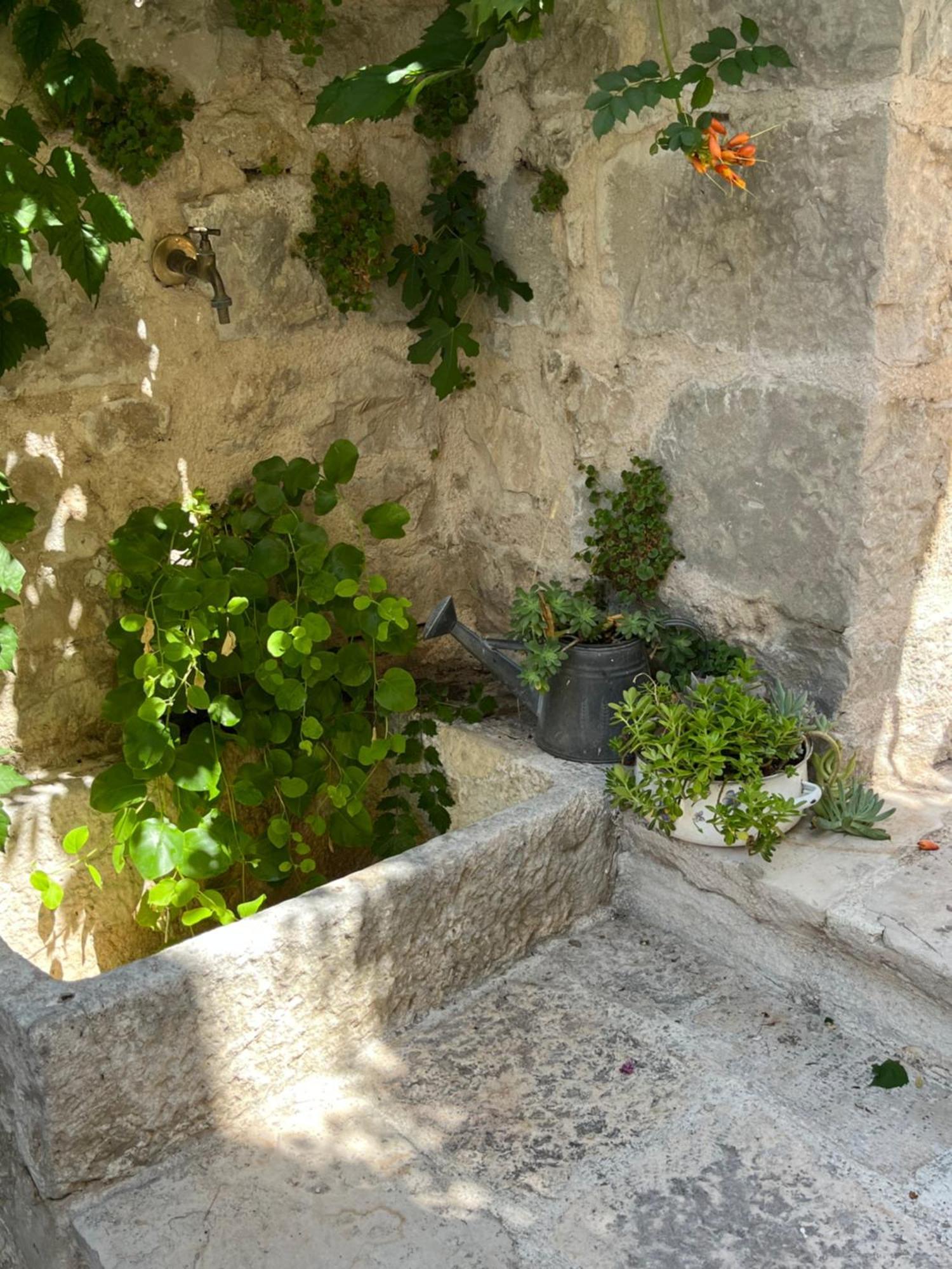 Luxury Apartment Spa "Marina" Makarska Zewnętrze zdjęcie
